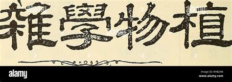 《赛尔特大陆》周年庆版本 开启手游代理新机遇，共庆辉煌时刻